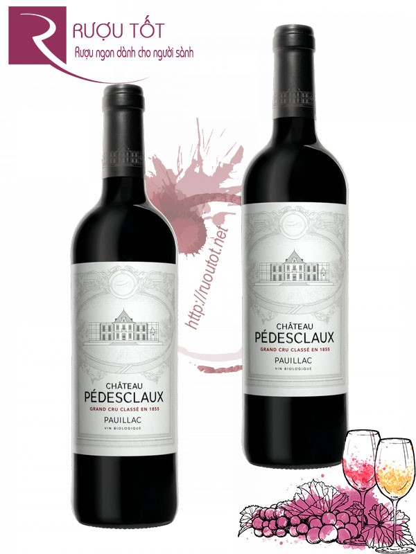 Vang Pháp Chateau Pedesclaux Pauillac Thượng hạng