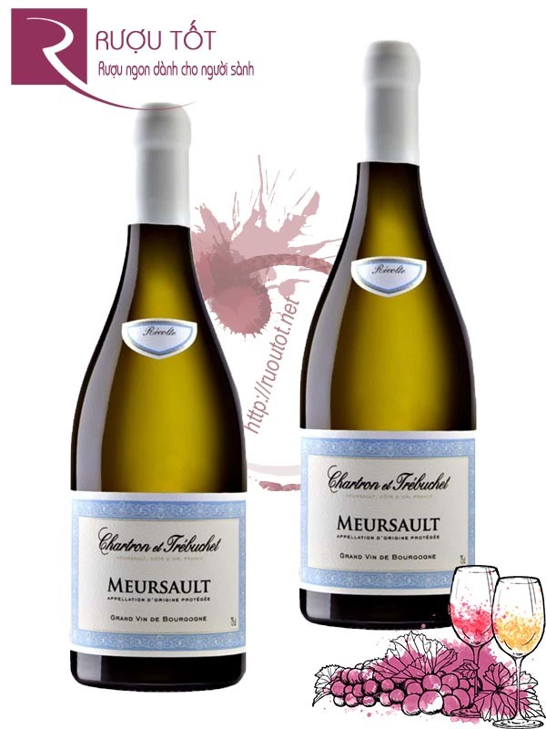 Rượu vang Chartron et Trebuchet Meursault Chardonnay