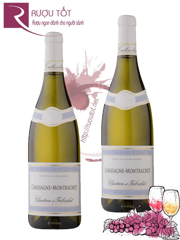 Rượu vang Chartron et Trebuchet Chassagne Montrachet Chardonnay