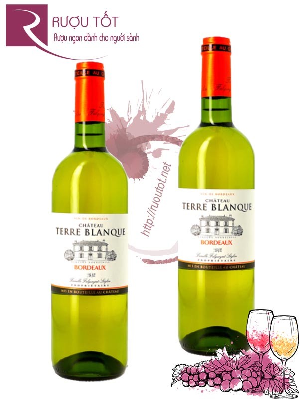 Rượu vang Pháp Chateau Terre Blanque Bordeaux White