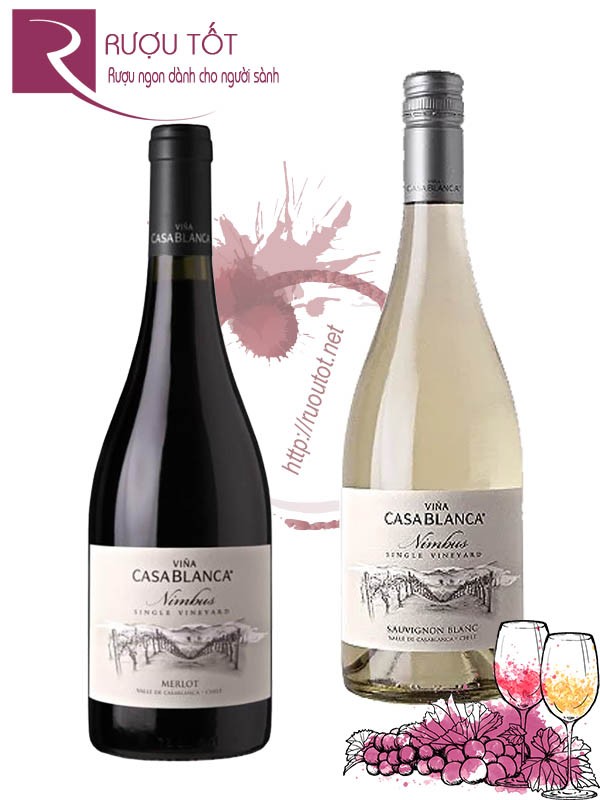 Vang Chile Nimbus Vina Casablanca Single Vineyard (red - white)