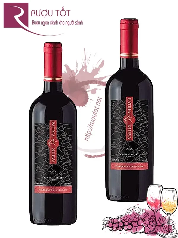 Rượu Vang Chile Patria Nueva Cabernet Sauvignon