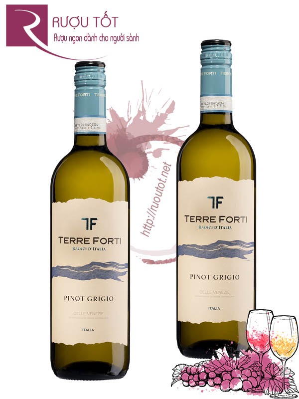 Rượu Vang Terre Forti Pinot Grigio delle Venezie