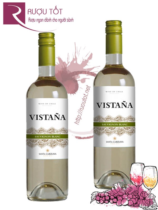 Vang Chile Vistana Sauvignon Blanc 12,5%