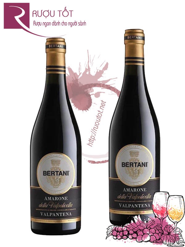 Vang Ý Bertani Amarone Valpantena