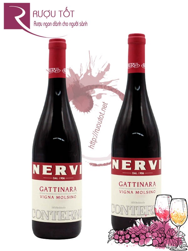 Rượu Vang Conterno Nervi Gattinara Vigna Molsino