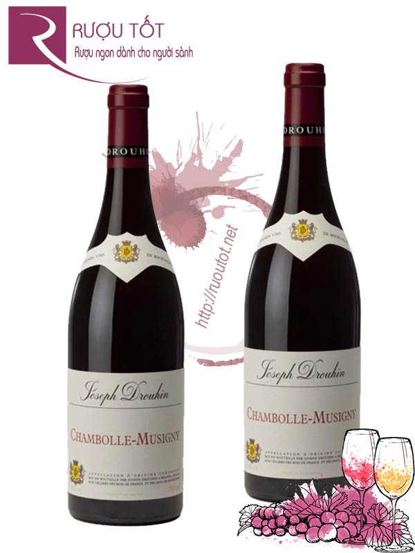 Rượu Vang Joseph Drouhin Chambolle Musigny