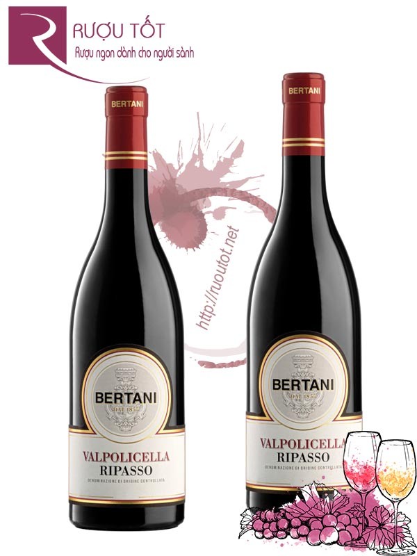 Vang Ý Bertani Valpolicella Ripasso