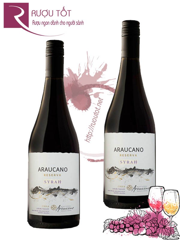 Rượu Vang đỏ Francois Lurton Hacienda Araucano Reserva Syrah