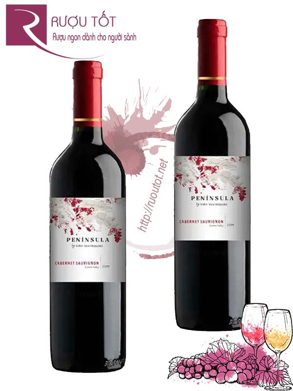 Rượu vang Ventisquero Peninsula Cabernet Sauvignon