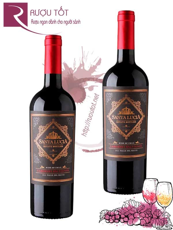 Rượu vang Santa Lucia Cabernet Sauvignon Nhập khẩu giá rẻ