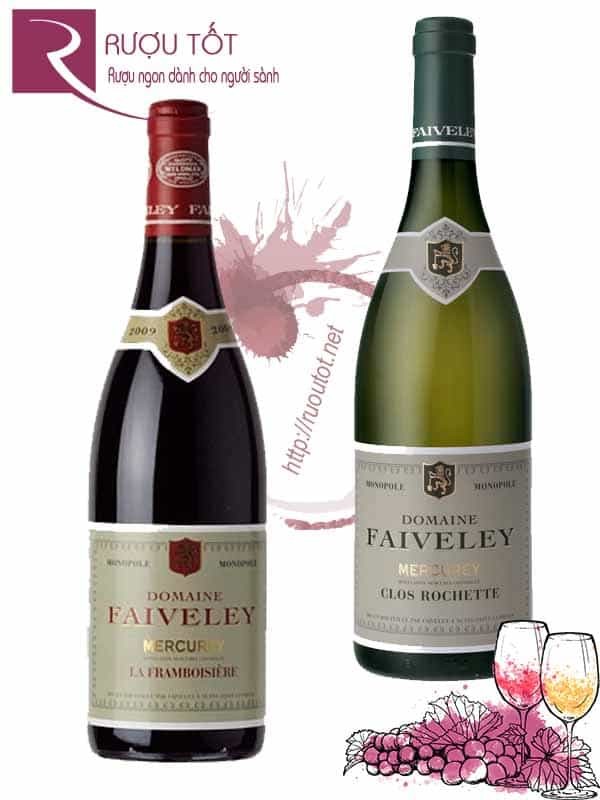 Vang Pháp Domaine Faiveley Mercurey