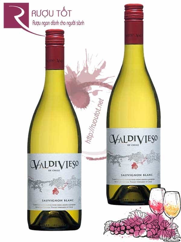 Vang Chile Valdivieso Sauvignon Blanc Cao Cấp