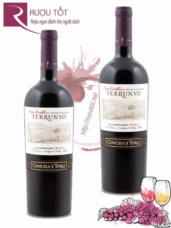 Vang Chile Terrunyo Carmenere Block 27 Concha Y Toro Hảo hạng