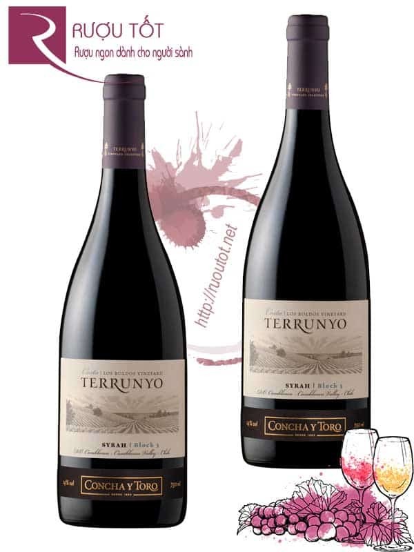 Vang Chile Terrunyo Syrah Block 3 Discontinued