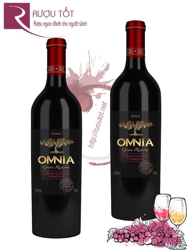 Vang Chile Omnia Gran Reserva Cabernet Sauvignon Camenere