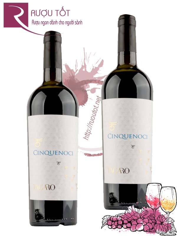 Vang Ý Cinquenoci Tagaro 14,5% Thượng hạng