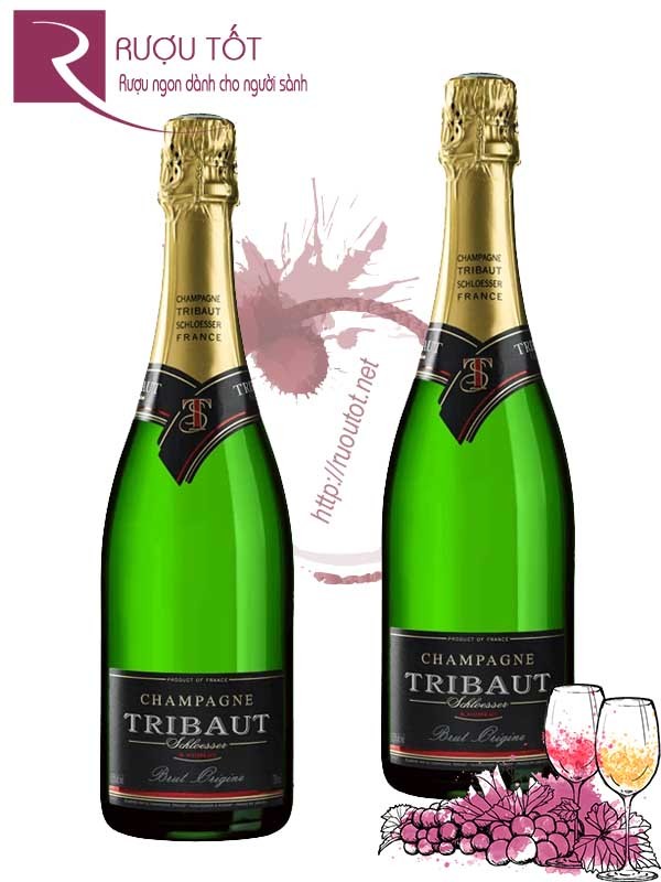 Sâm Panh Pháp Tribaut Schloesser Brut Origine