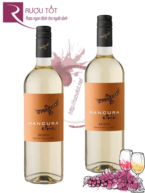 Vang Chile Mancura Etnia Moscato Thượng hạng