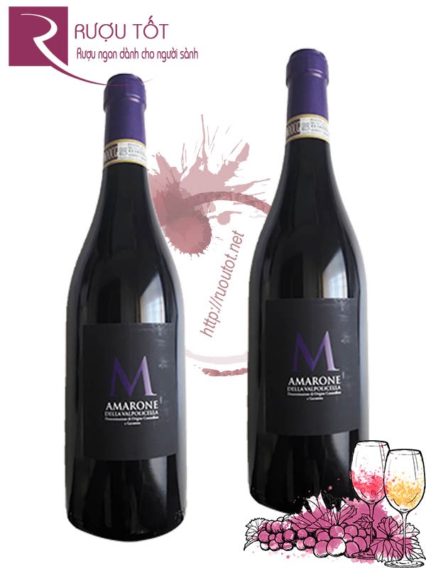 Vang Ý Amarone Della Valpolicella DOCG M Fasoli Gino Di Amadio