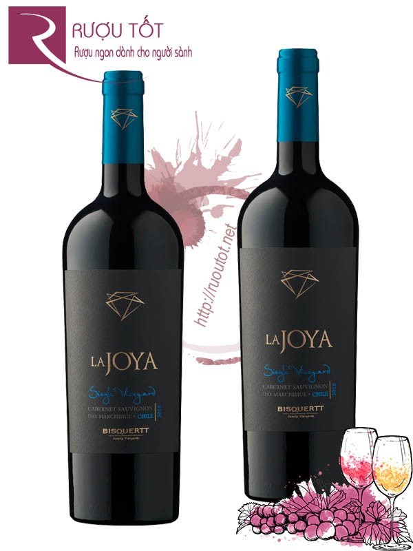 Vang Chile La Joya Single Vineyard Cabernet Sauvignon Bisquertt