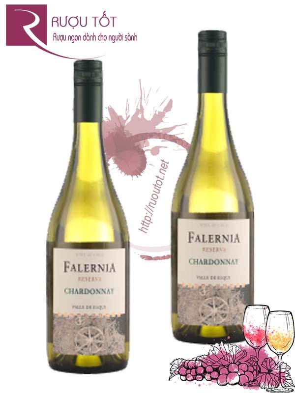 Vang Chile Falernia Chardonnay Reserva Nhập khẩu