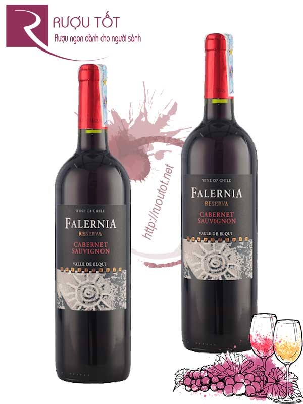 Vang Chile Falernia Cabernet Sauvignon Reserva Thượng hạng