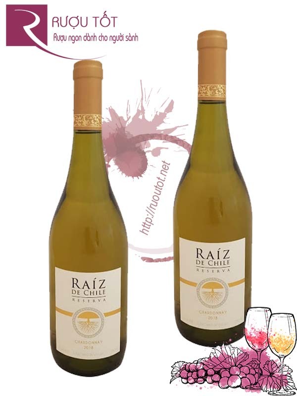 Vang Chile Raiz De Chile Chardonnay Reserva Cao cấp