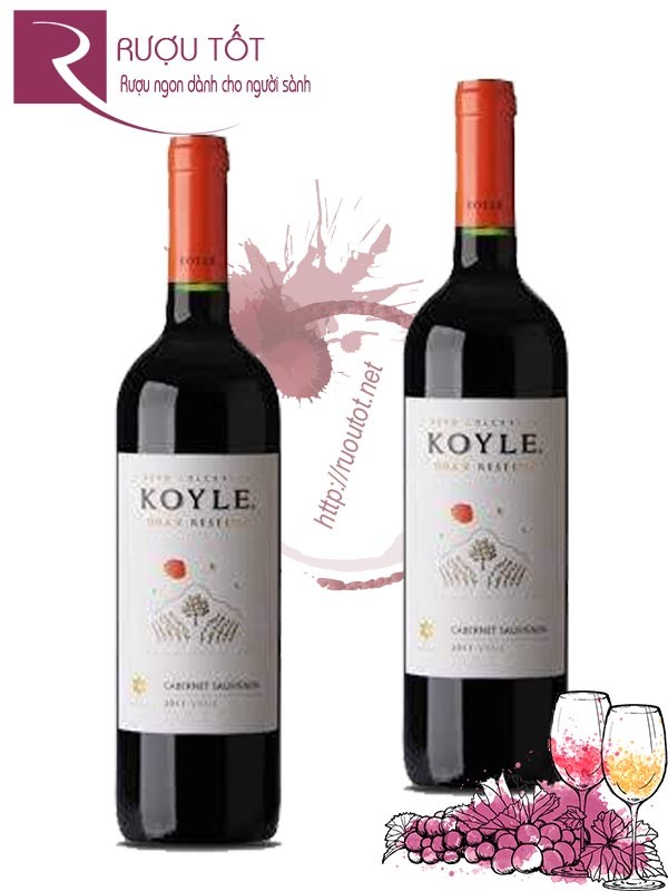 Vang Chile Koyle Cabernet Sauvignon Gran Reserva Cao cấp