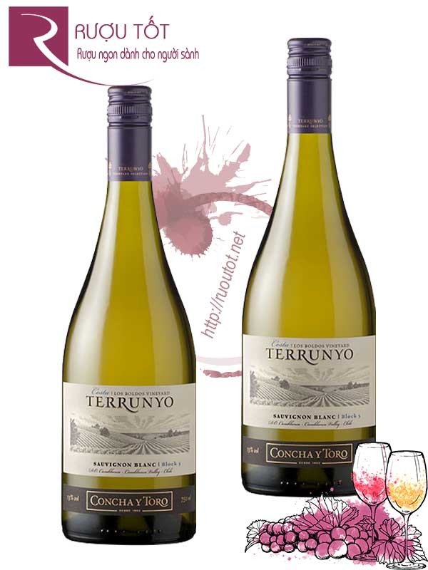 Vang Chile Terrunyo Sauvignon Blanc Block 5 Concha Y Toro Cao cấp