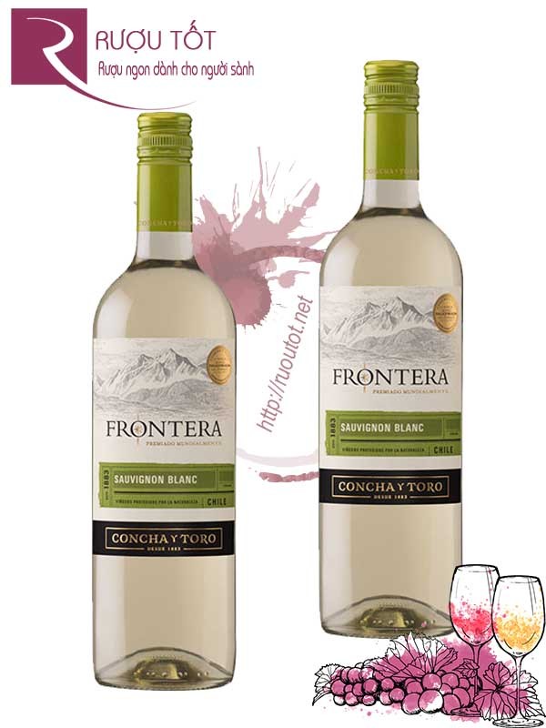 Vang Chile Frontera Sauvignon Blanc Concha Y Toro Hảo hạng