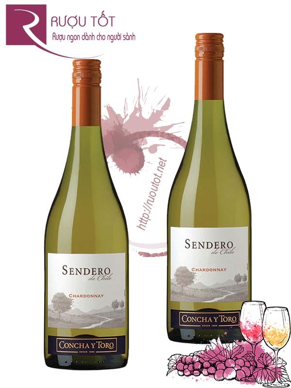 Vang Chile Sendero Chardonnay Concha Y Toro Hảo hạng