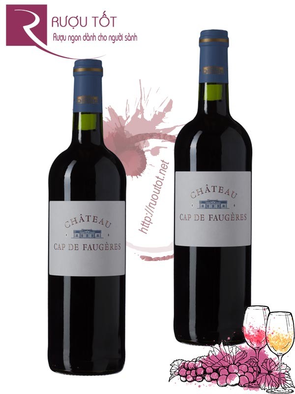 Rượu vang Pháp Chateau Cap de Faugeres Cotes de Castillon