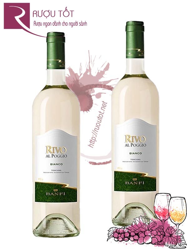 Vang Ý Rivo Al Poggio Bianco Banfi