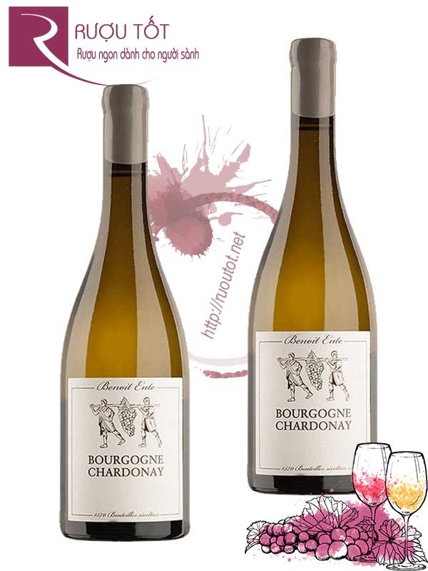 Vang Pháp Bourgogne Chardonnay Benoit Ente