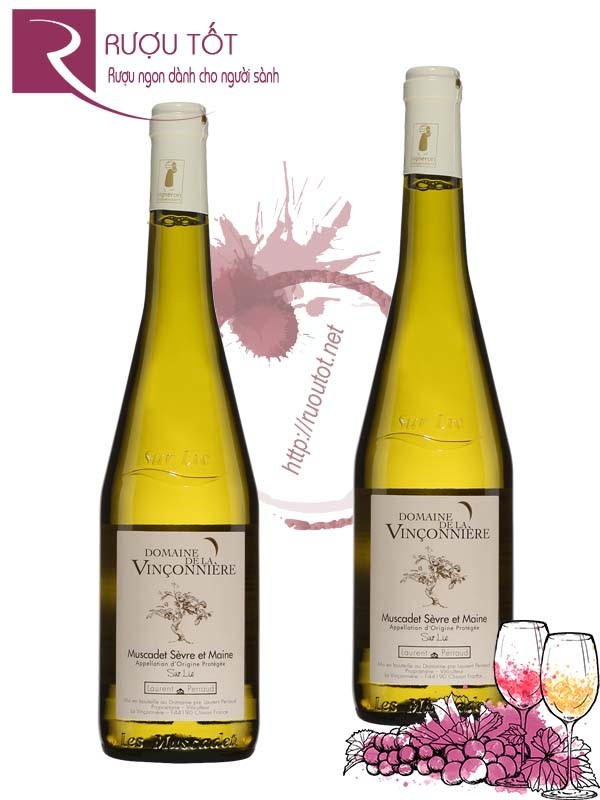 Vang Pháp Domaine de La Vrillonniere Muscadet Sevre Et Maine Sur Lie