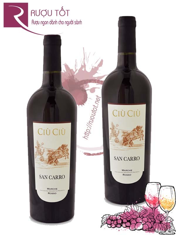 Vang Ý Ciu Ciu San Carro Marche Rosso 15% Chính hãng