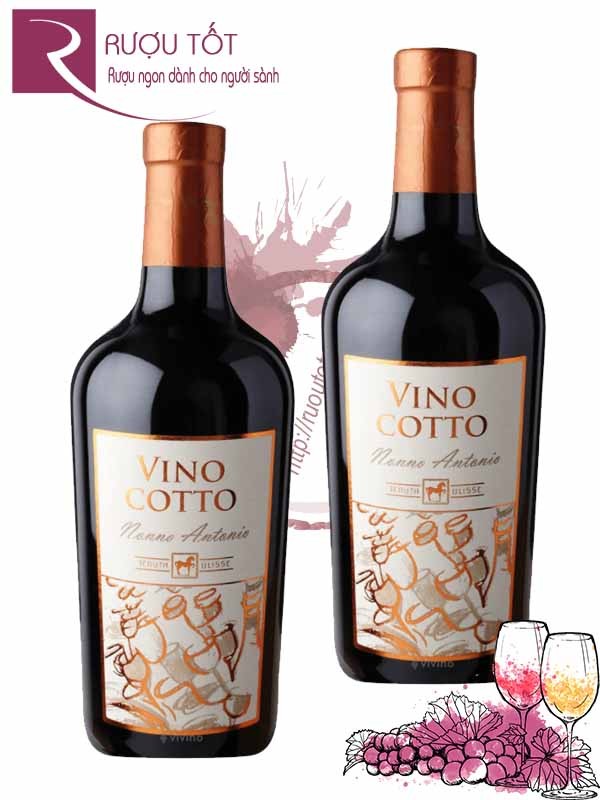 Vang Ý Vino Cotto Nonno Antonio Tenuta Ulisse Hảo hạng