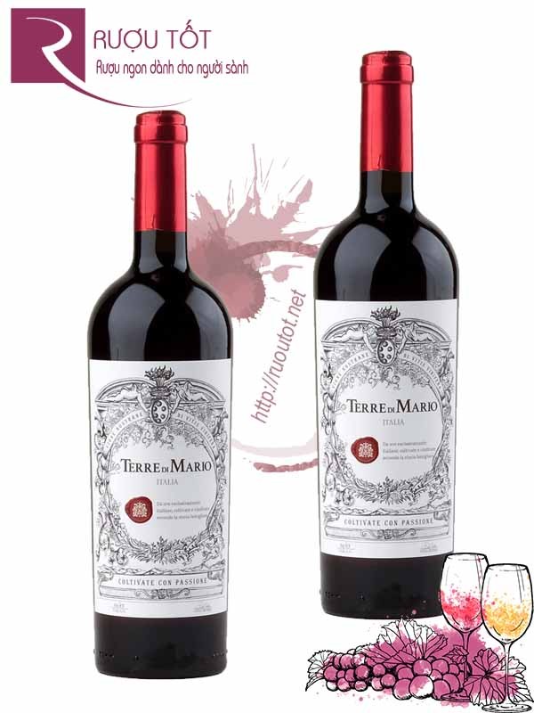 Vang Ý Terre Di Mario Vino Rosso 17 Độ