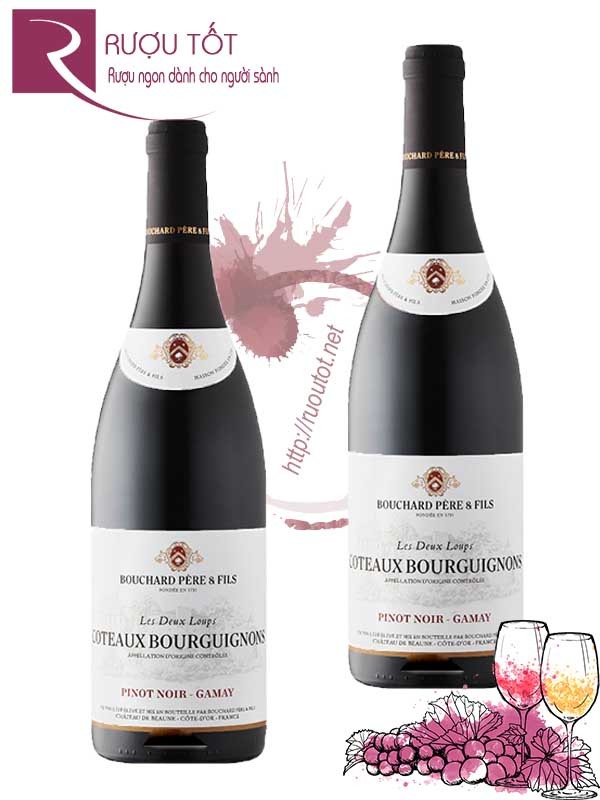 Vang Pháp Coteaux Bourguignons Bouchard Pere et Fils Red