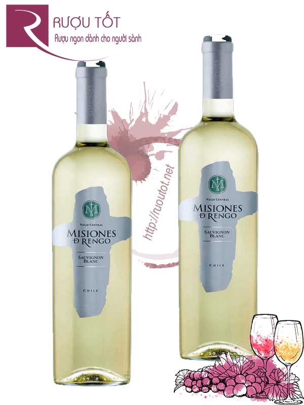 Vang Chile Misiones Đ Rengo Sauvignon Blanc Reserva