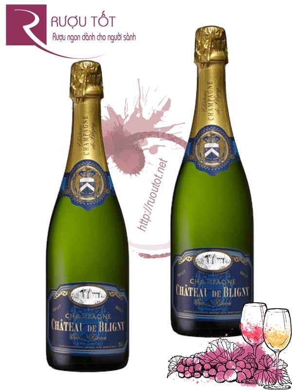 Rượu vang Pháp Champagne Chateau de Brigny Grande Reserve