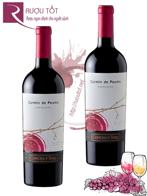 Vang Chile Carmin de Peumo Carmenere Concha Y Toro