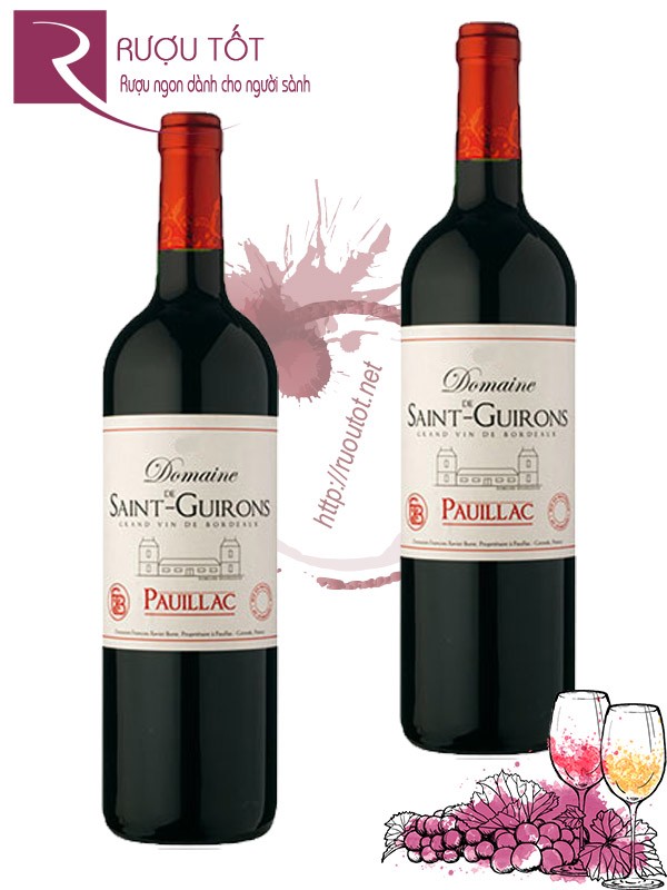 Vang Pháp Domaine De Saint Guirons Pauilac Thượng hạng