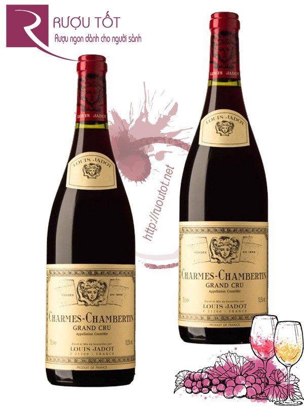 Vang Pháp Charmes Chambertin Grand Cru Louis Jadot 2008 Thượng hạng