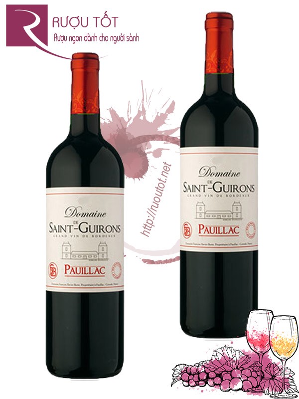 Vang Pháp Domaine de Saint Guirons Pauillac Thượng hạng