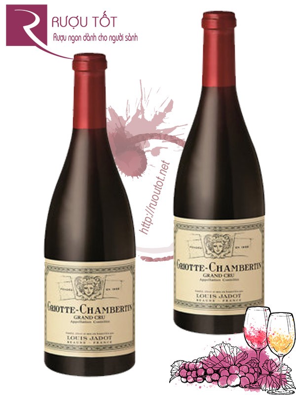 Vang Pháp Griotte Chambertin Grand Cru Louis Jadot Thượng hạng