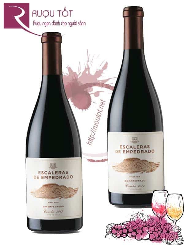 Vang Chile Escaleras de Empedrado Pinot Noir Thượng hạng