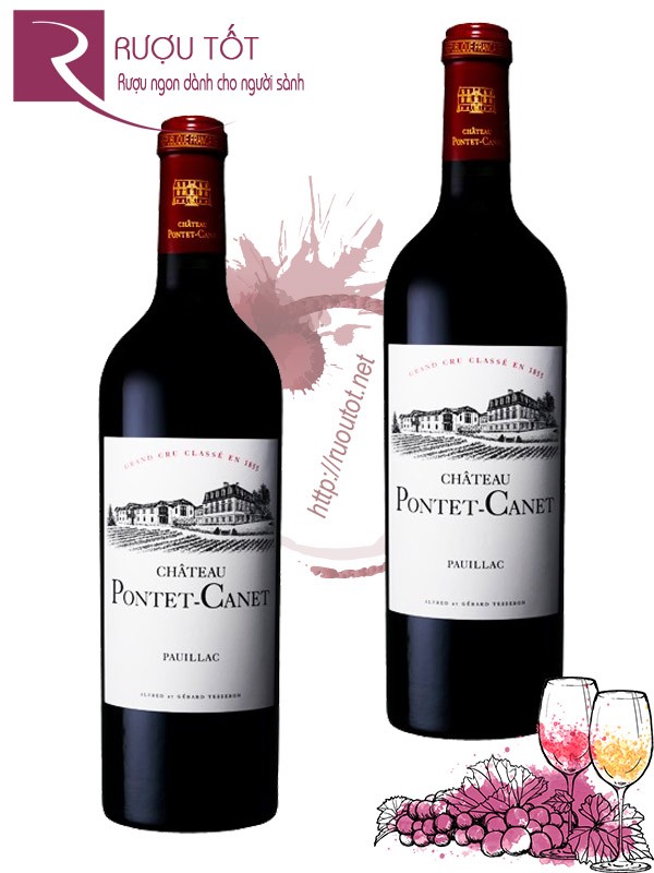 Vang Pháp Chateau Pontet Canet Pauillac Grand Cru Classe 96 điểm