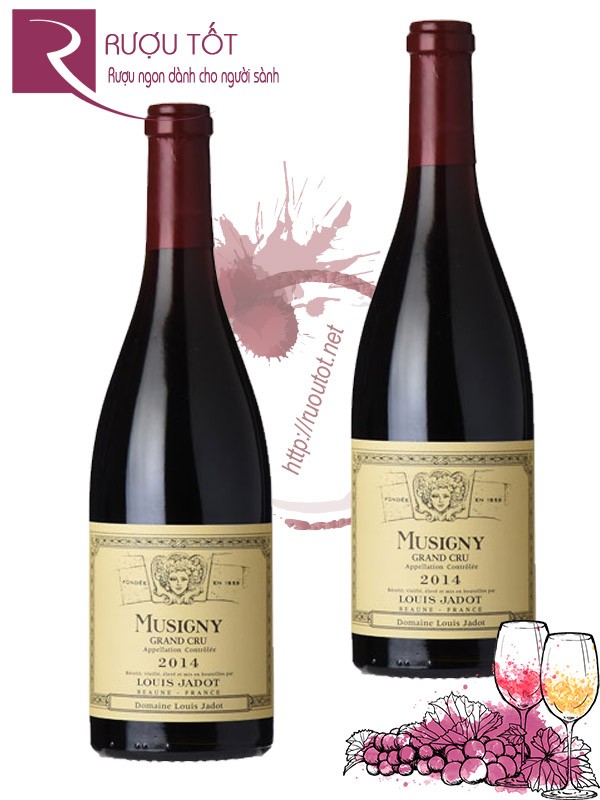 Vang Pháp Musigny Grand Cru Louis Jadot Hảo hạng